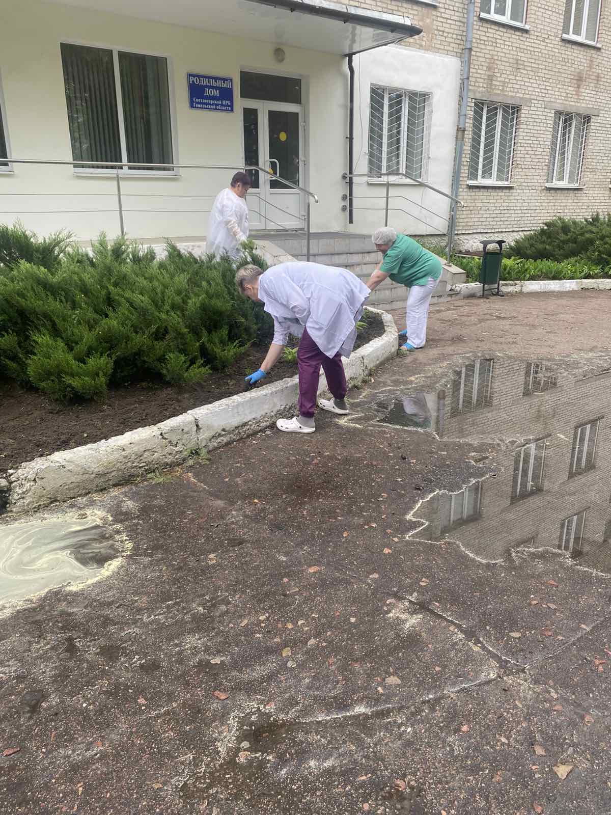 314134314314Чистыйчетв