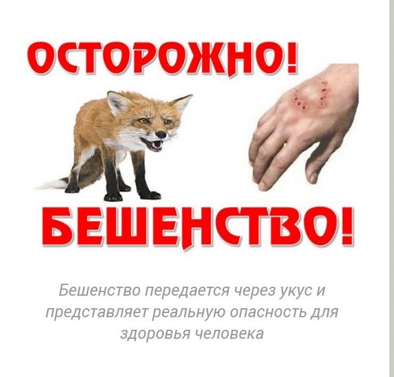 9f20f715efe05946dd2d96e854c58af4